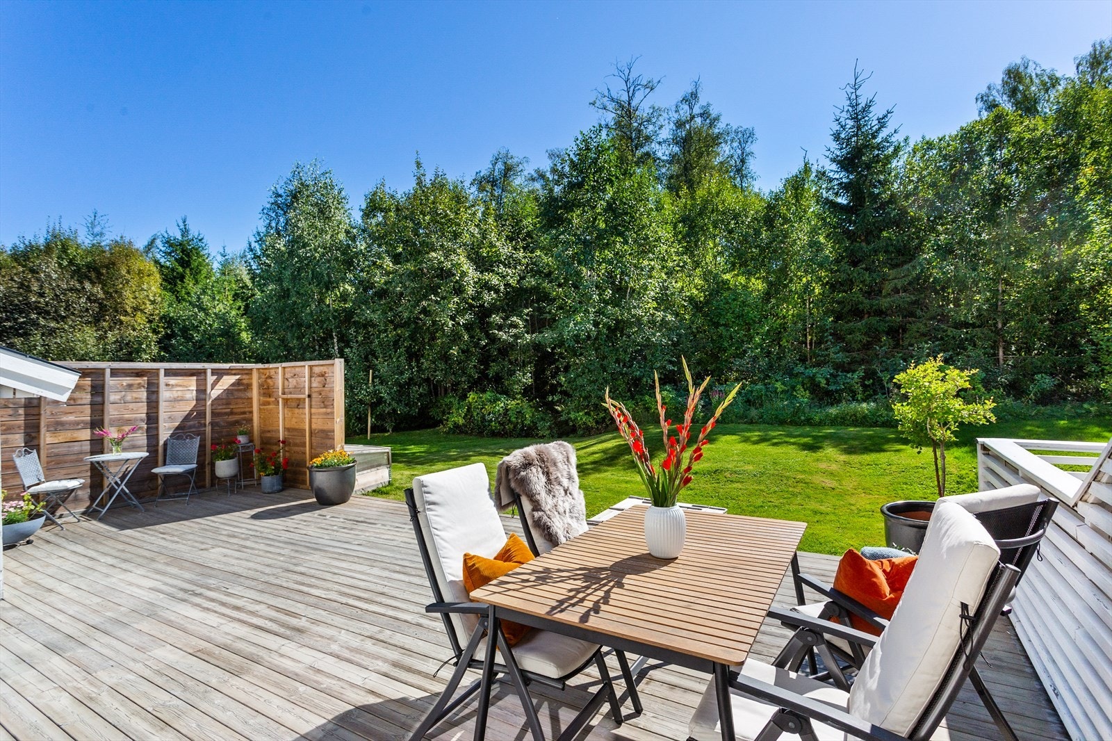 Her kan barna løpe og leke fritt! Galleribilde