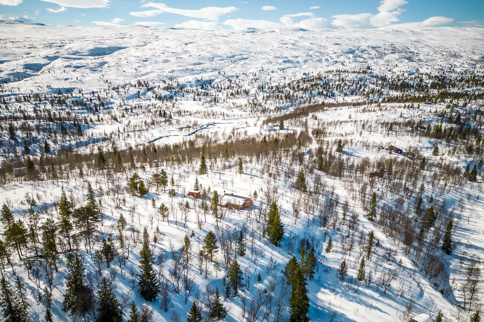 Mot området. Galleribilde