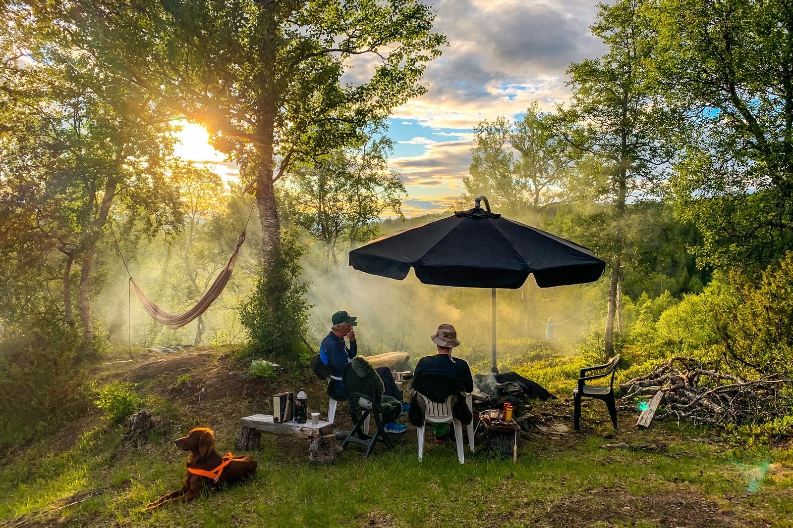 Naturskjønne omgivelser. Galleribilde