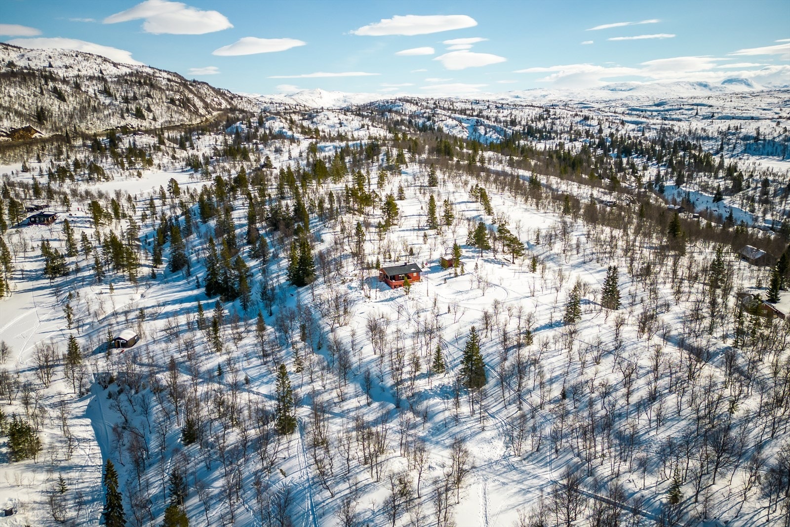 Mot området. Galleribilde