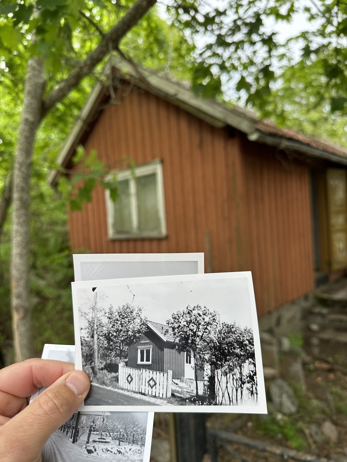 Historien dukker opp Galleribilde