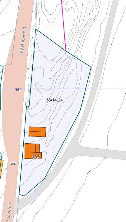 Lite hus, stor tomt Galleribilde