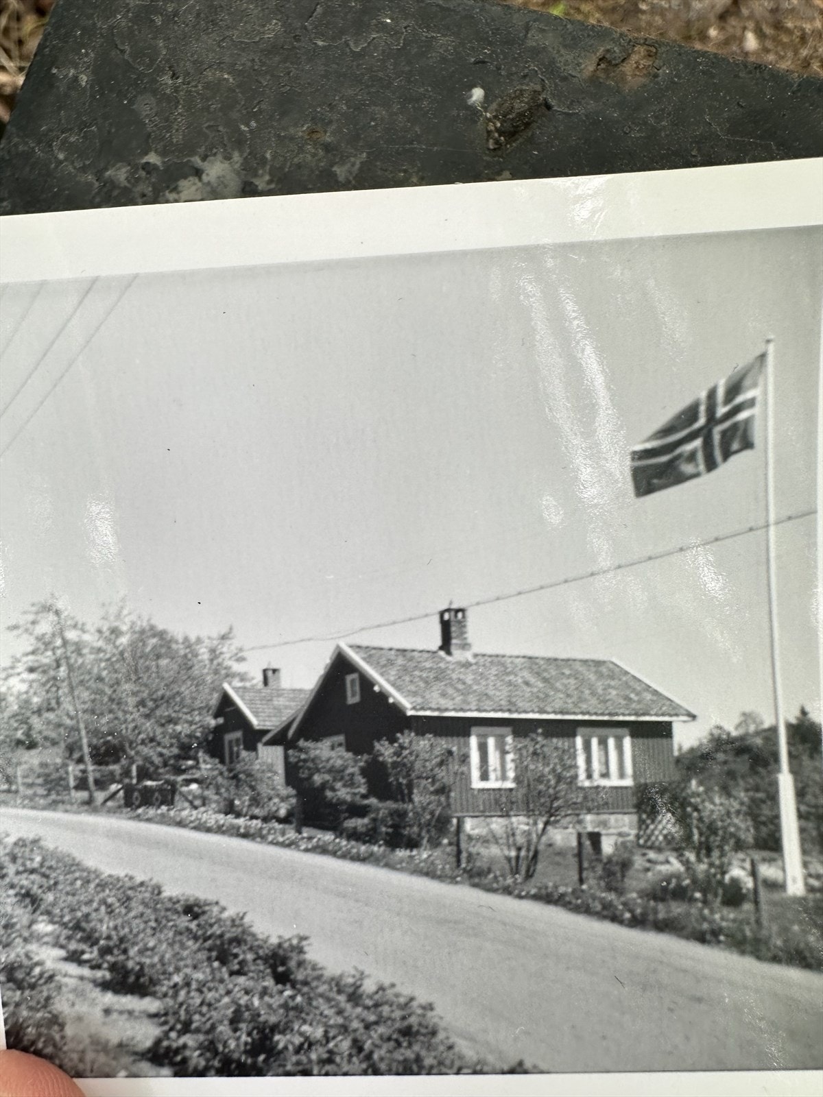 IMG_6112.jpeg Galleribilde