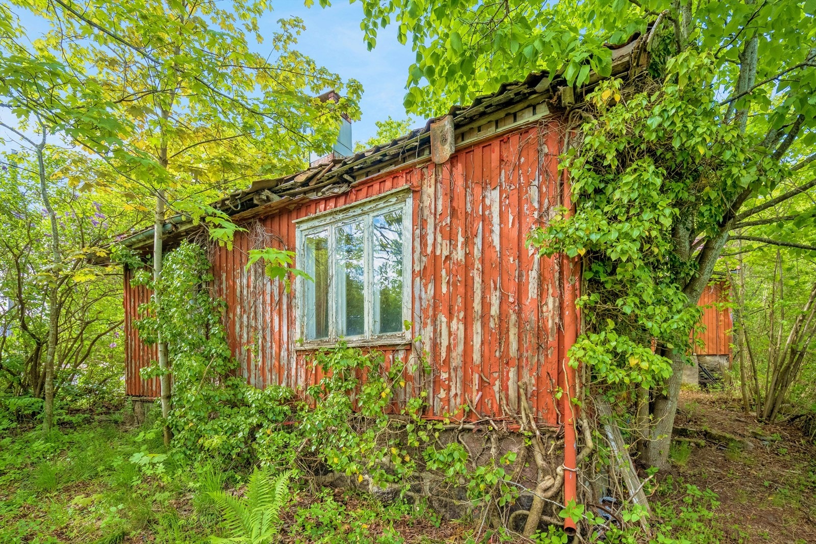 Det er godt vi har en god malingsprodusent i denne byen her, men ikke engang JOTUN klarer å glatte over at her blir det mye jobb Galleribilde