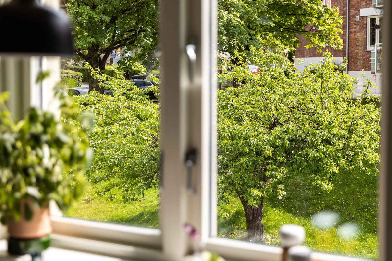 God avstand til neste blokk og frodige parkareal er noe av det som kjennertegner Keyserløkka. Galleribilde