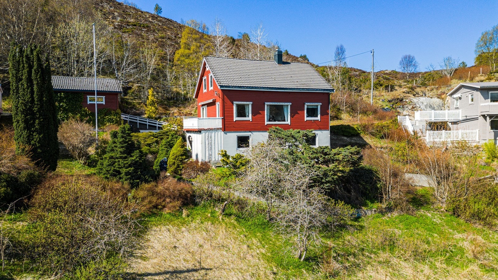 Stor hage i front Galleribilde