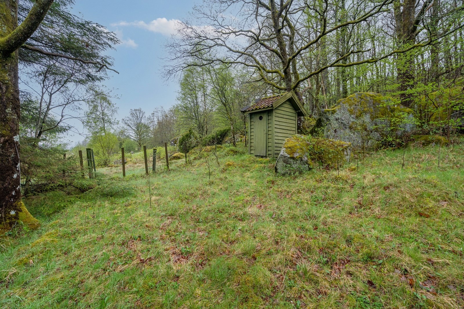 DOY07952 Galleribilde