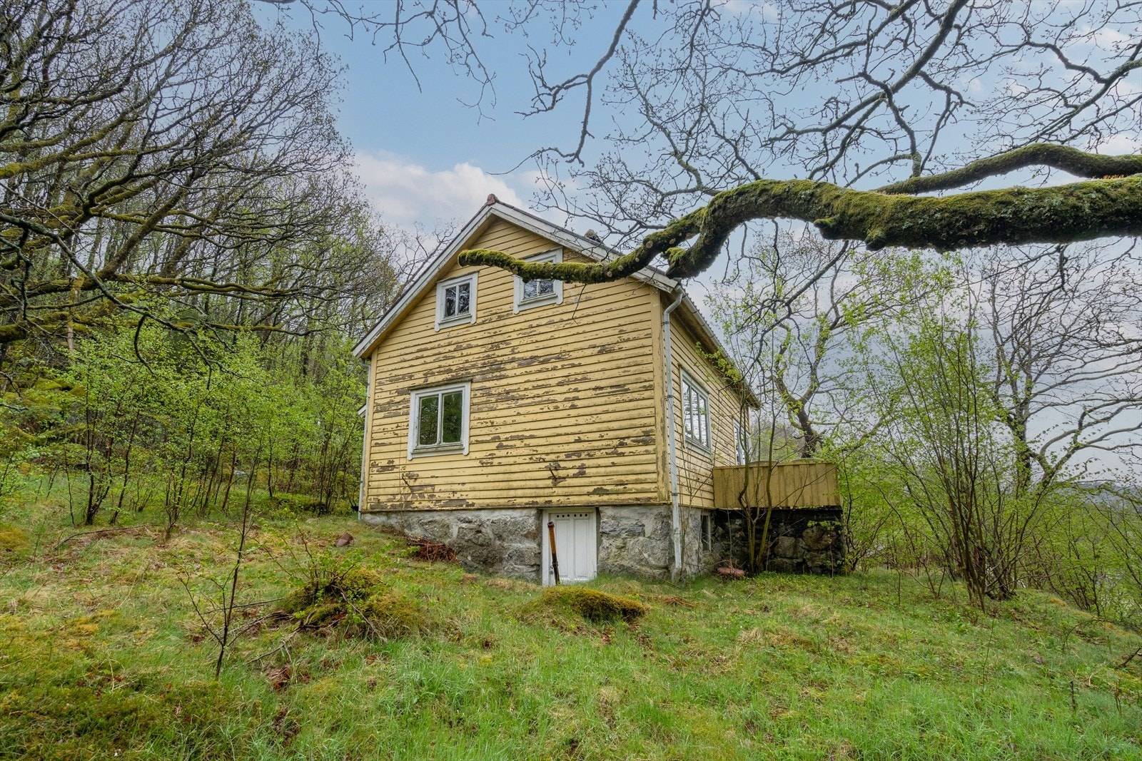 Velkommen til Vikevegen 661! Galleribilde