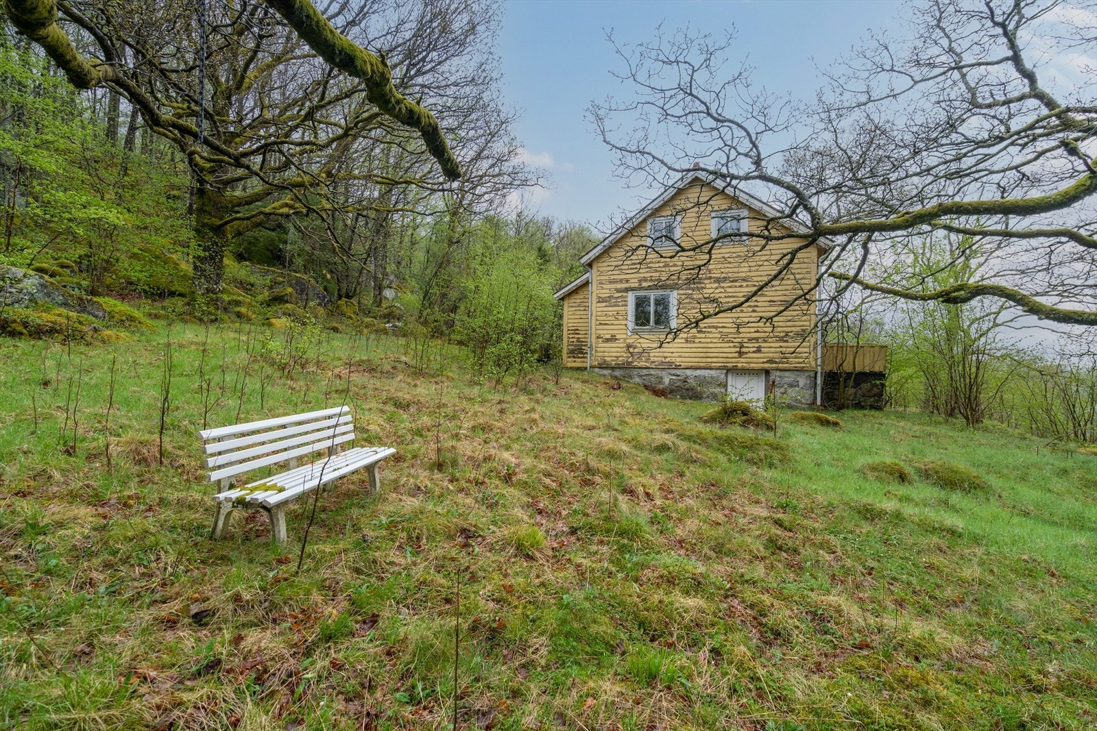 DOY07959 Galleribilde