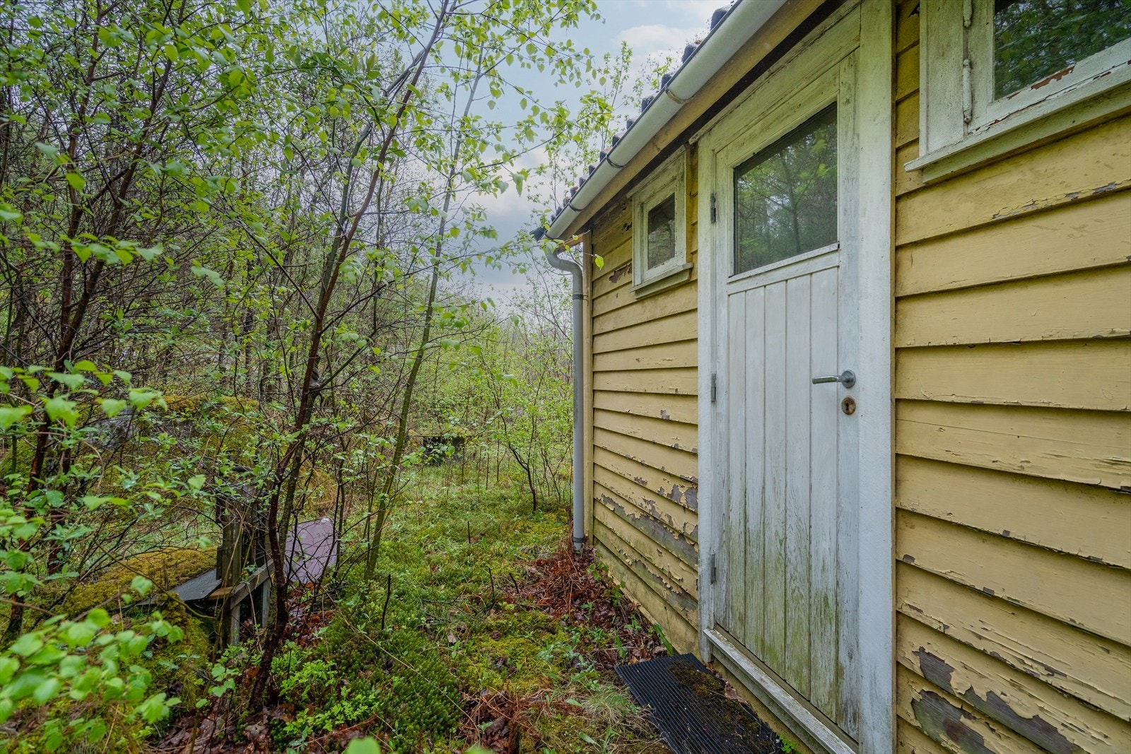 DOY07942 Galleribilde