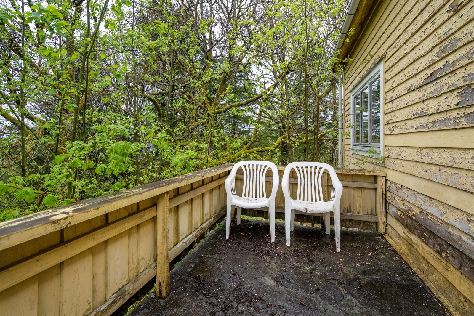 DOY07937 Galleribilde