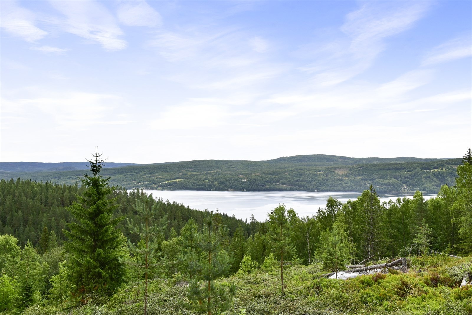 Det er fine turmuligheter i området, samt muligheter for bærplukking Galleribilde