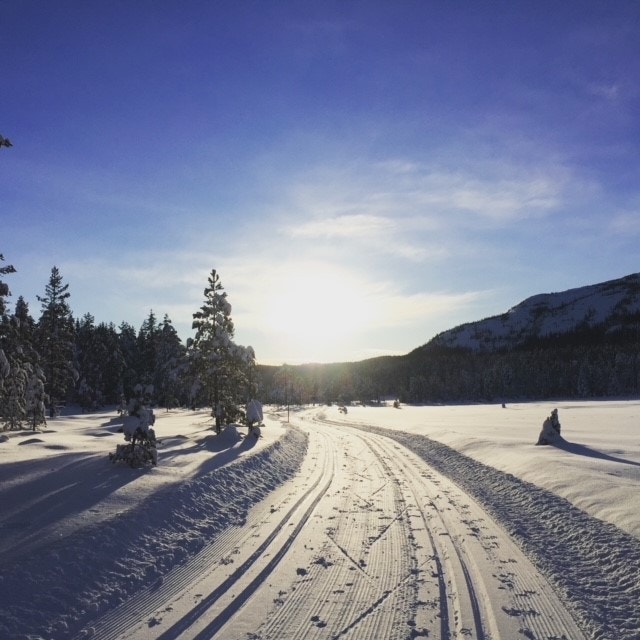 Selgers bilde Galleribilde