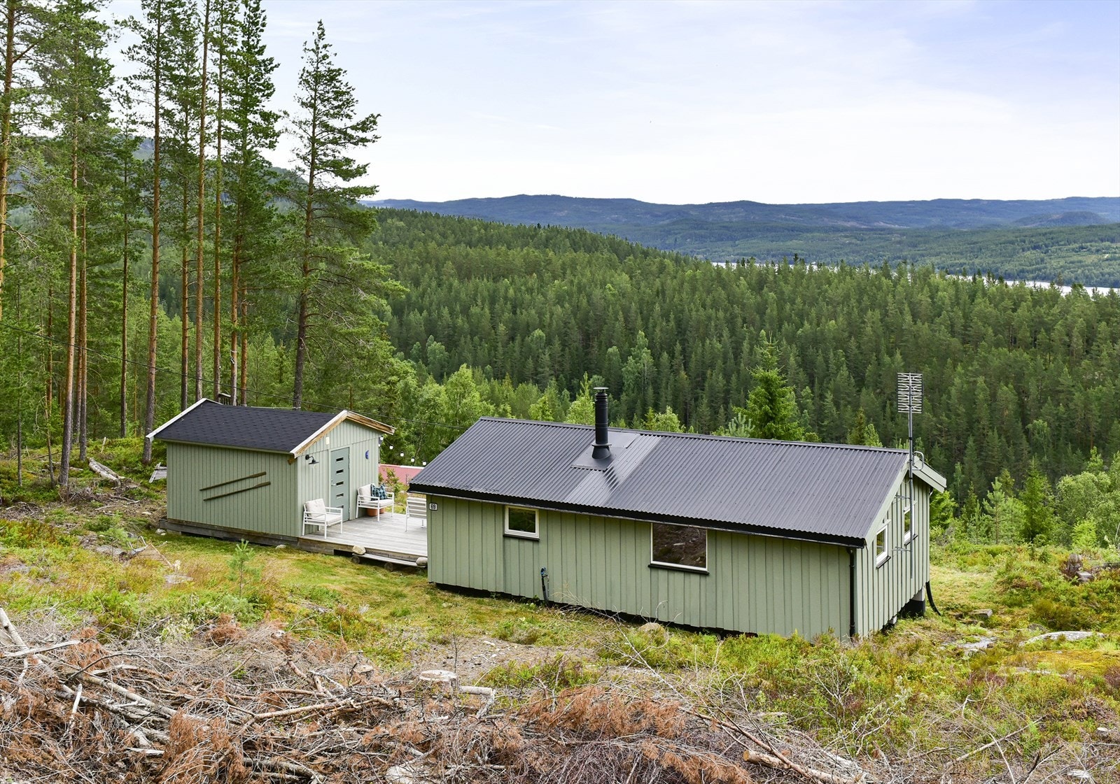 Tomten består av naturtomt med gress og busker Galleribilde