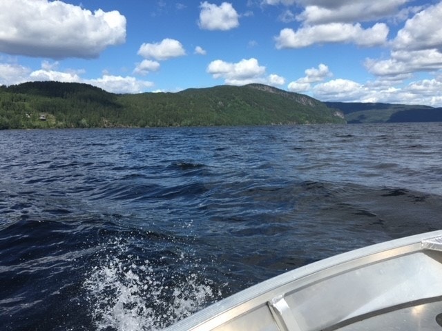 Selgers bilde Galleribilde