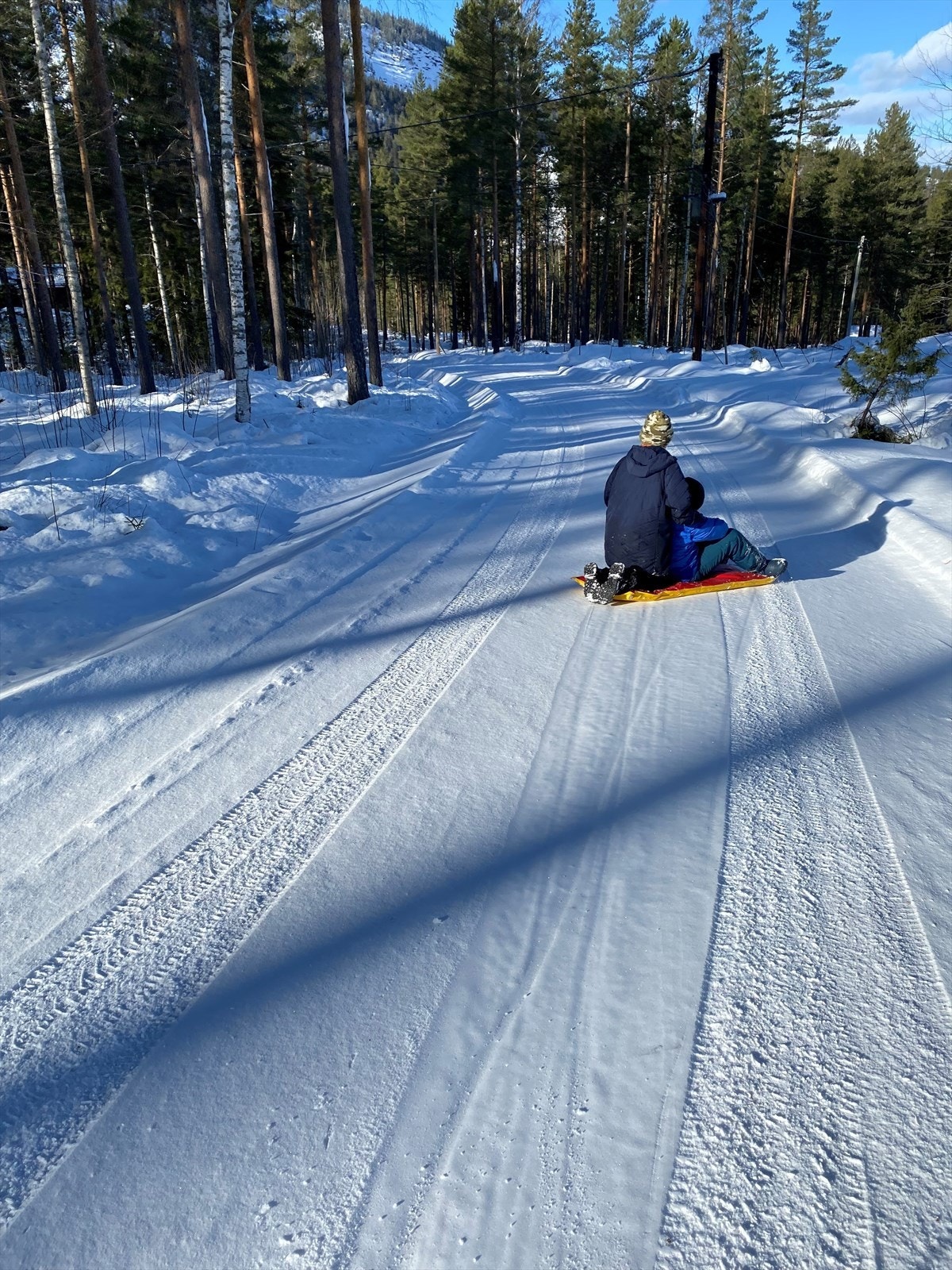 Selgers bilde - Morsomt med aking ned veien fra hytta! Galleribilde