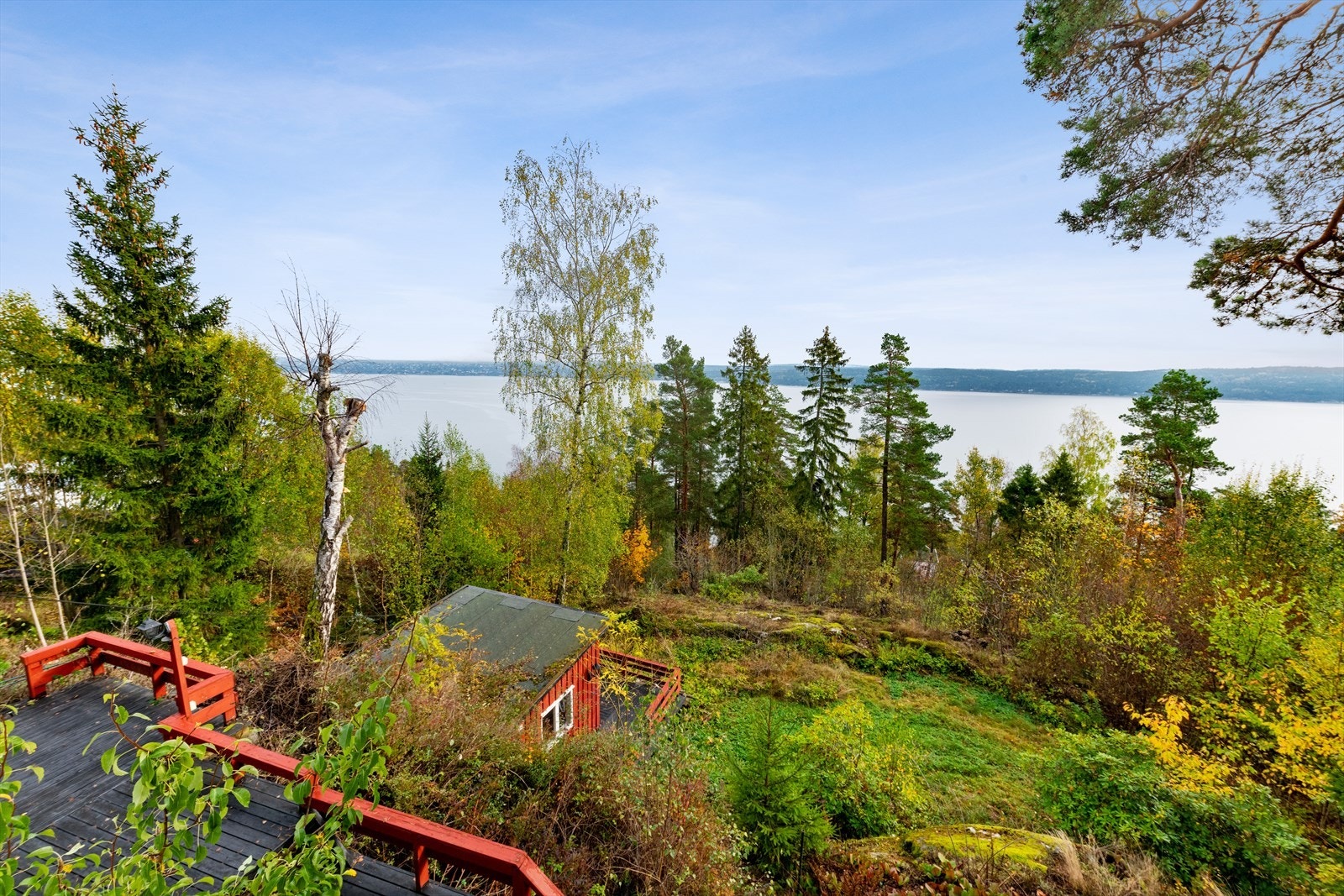 Meget hyggelig utsyn fra egen eiendom. Galleribilde
