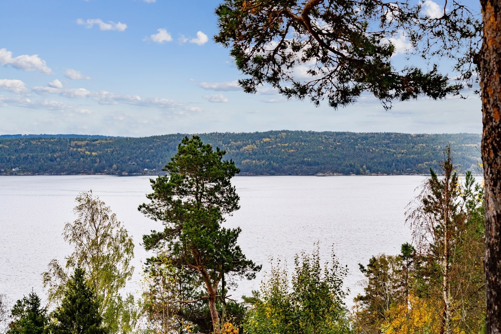 Her kan du se langt. Galleribilde