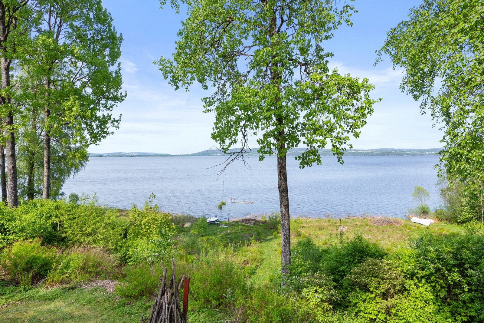 Området er rikt på natur og dyreliv. Galleribilde