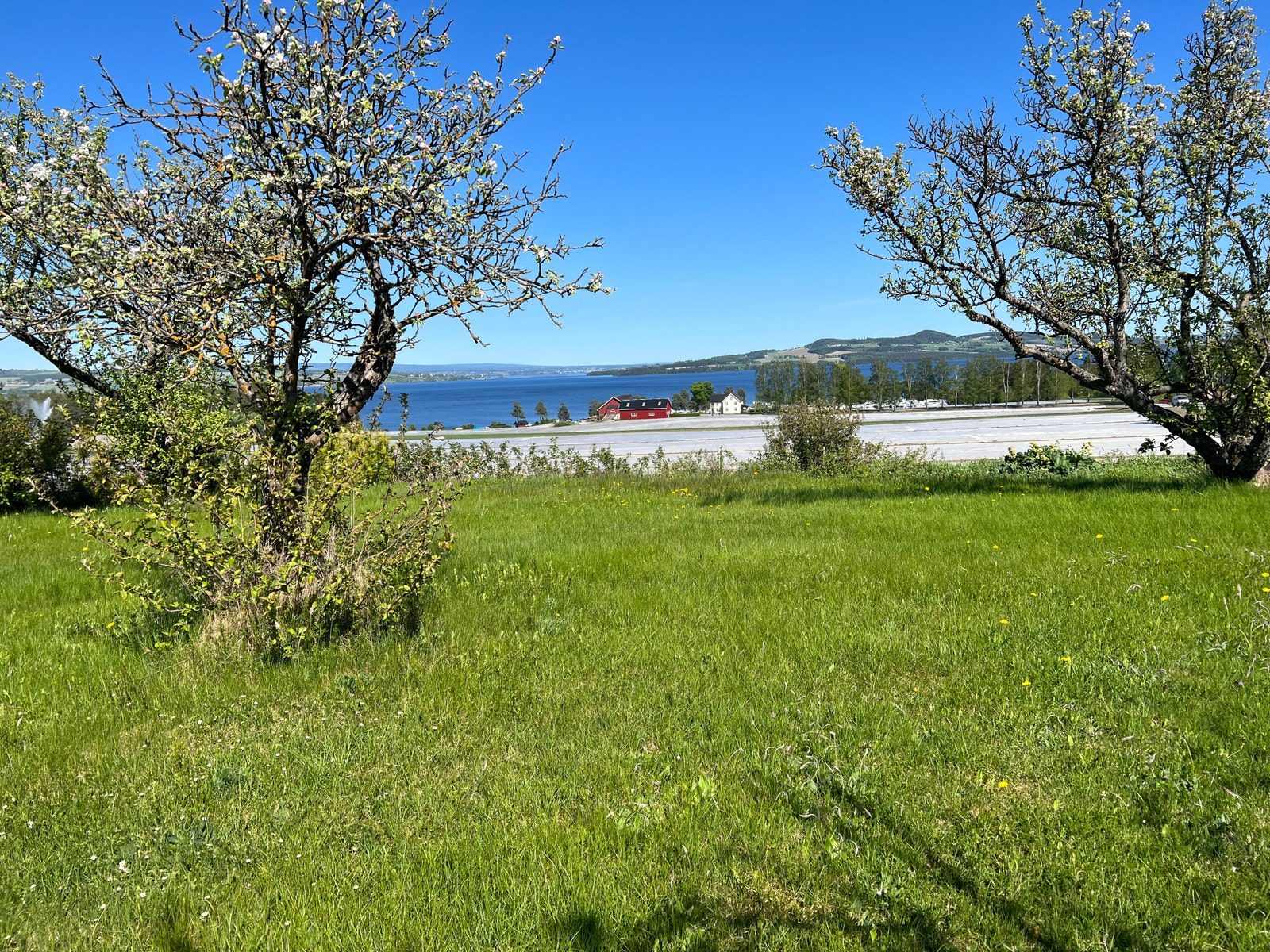 Flat og fint tomt Galleribilde