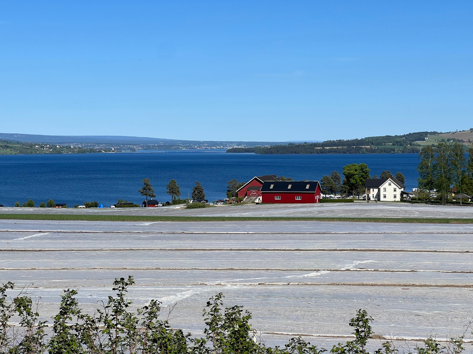 Flott Mjøsutsikt Galleribilde