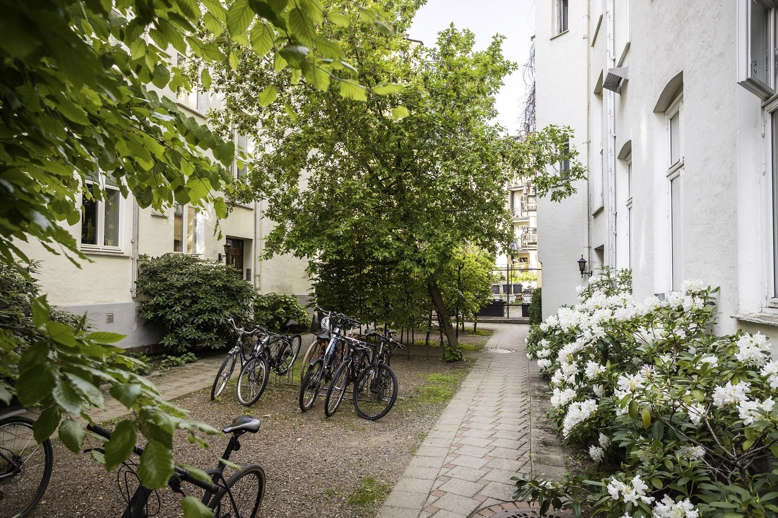 Nydelig bakgård med pen beplantning og sykkeplarkering Galleribilde