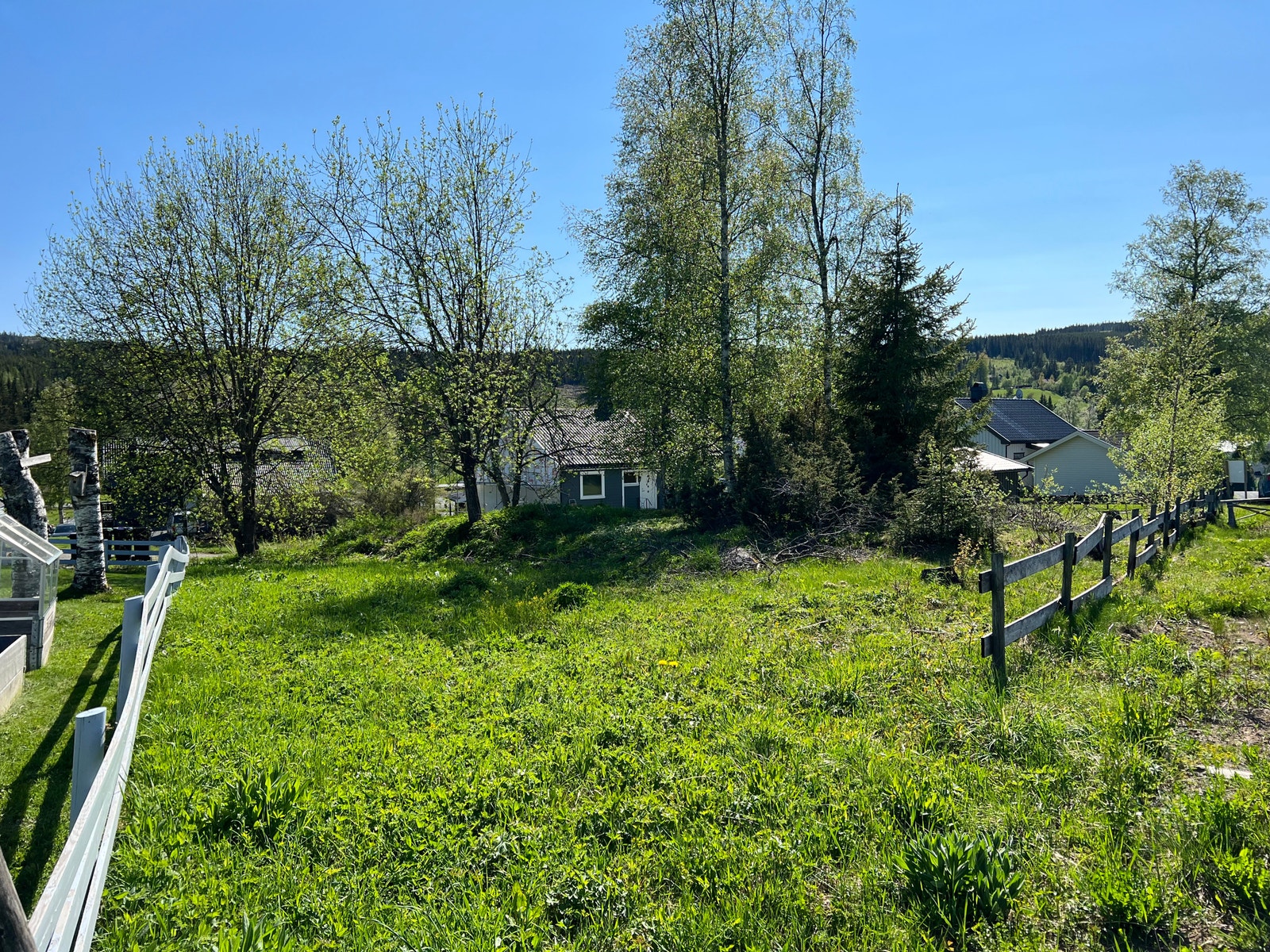 Sommerbilde - Solrikt og fint i Tobru Galleribilde