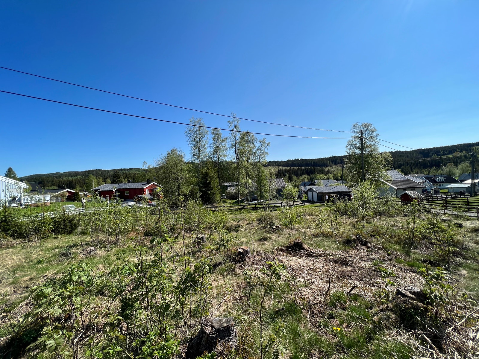 Sommerbilde - Kjempefint område i rolig boligfelt Galleribilde