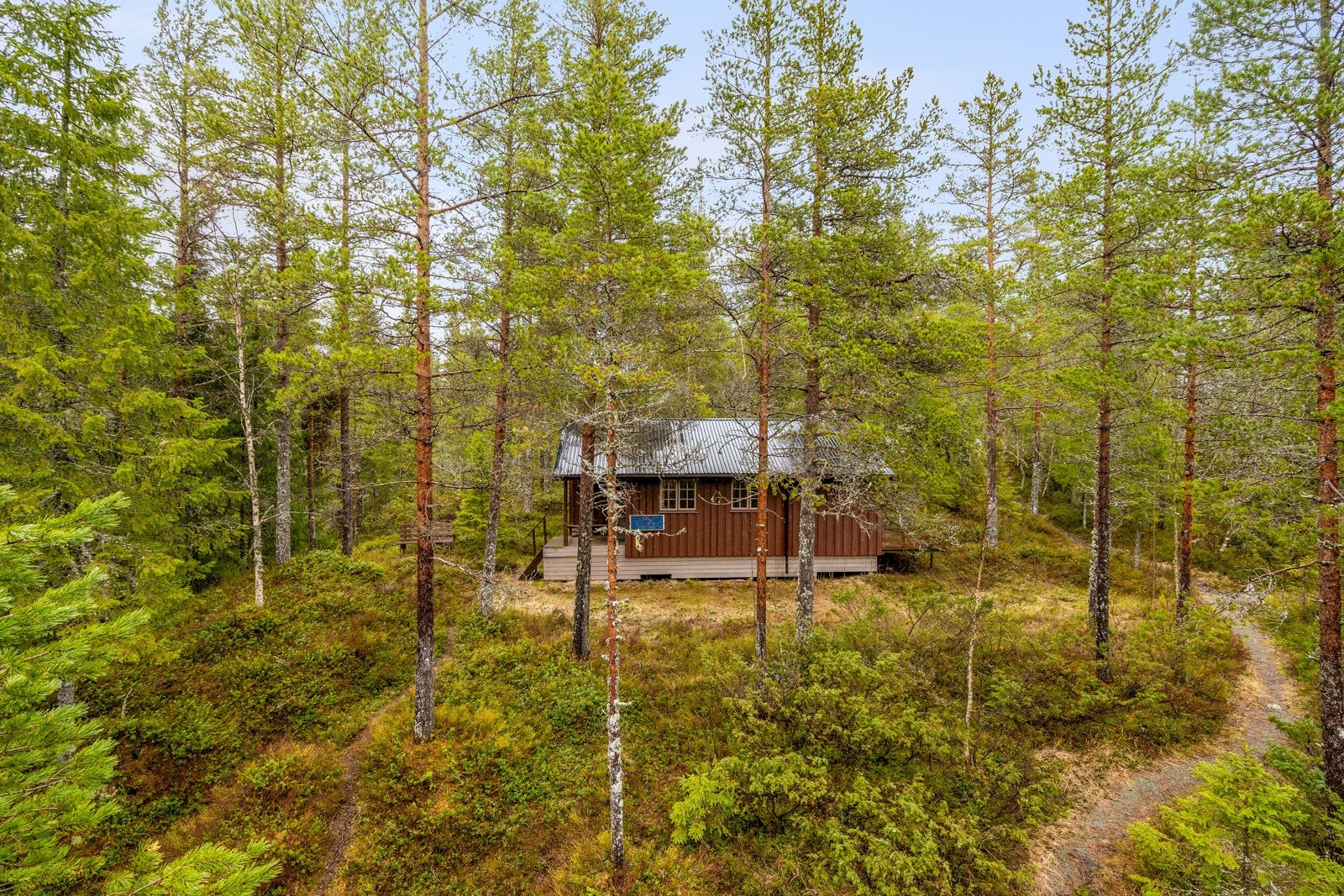 En koselig liten hytte omringet av flott natur Galleribilde