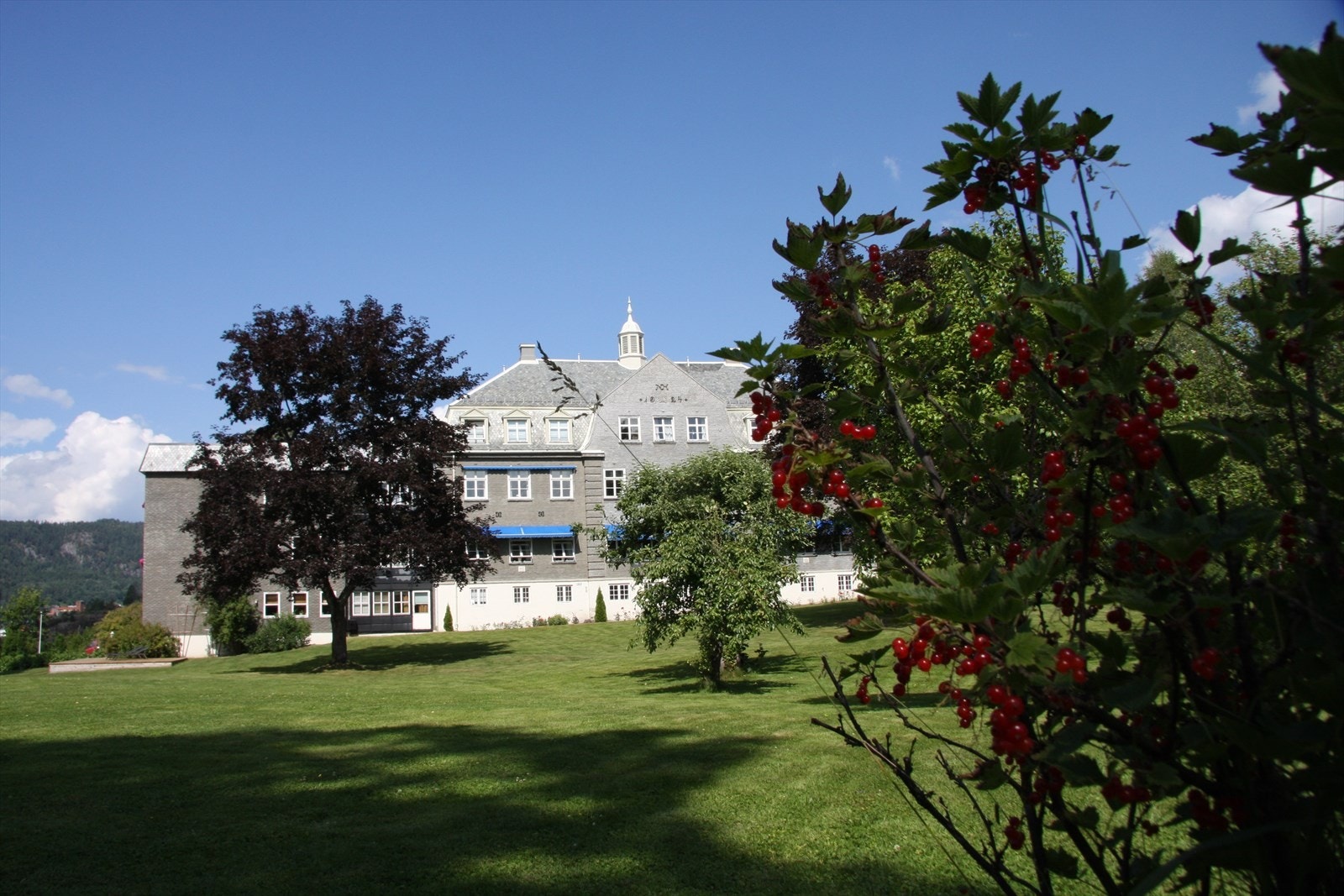 IMG_0823.JPG Galleribilde