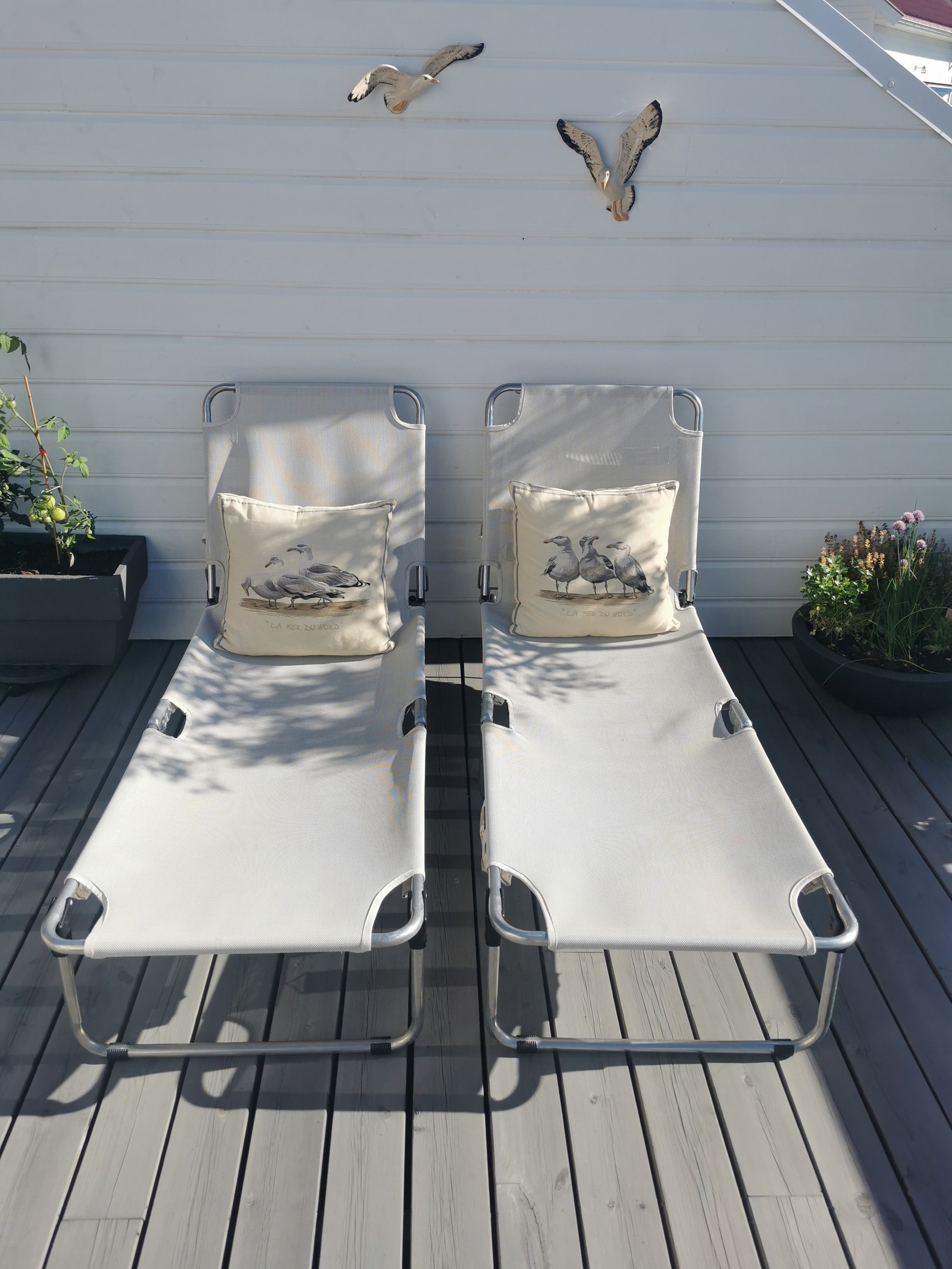 solsenger på terrassen Galleribilde