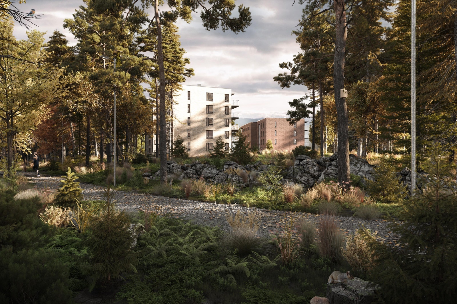 Lysløype på baksiden av prosjektet - Sommer Galleribilde