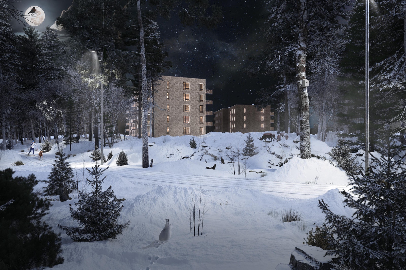 Lysløype på baksiden av prosjektet - Vinter Galleribilde