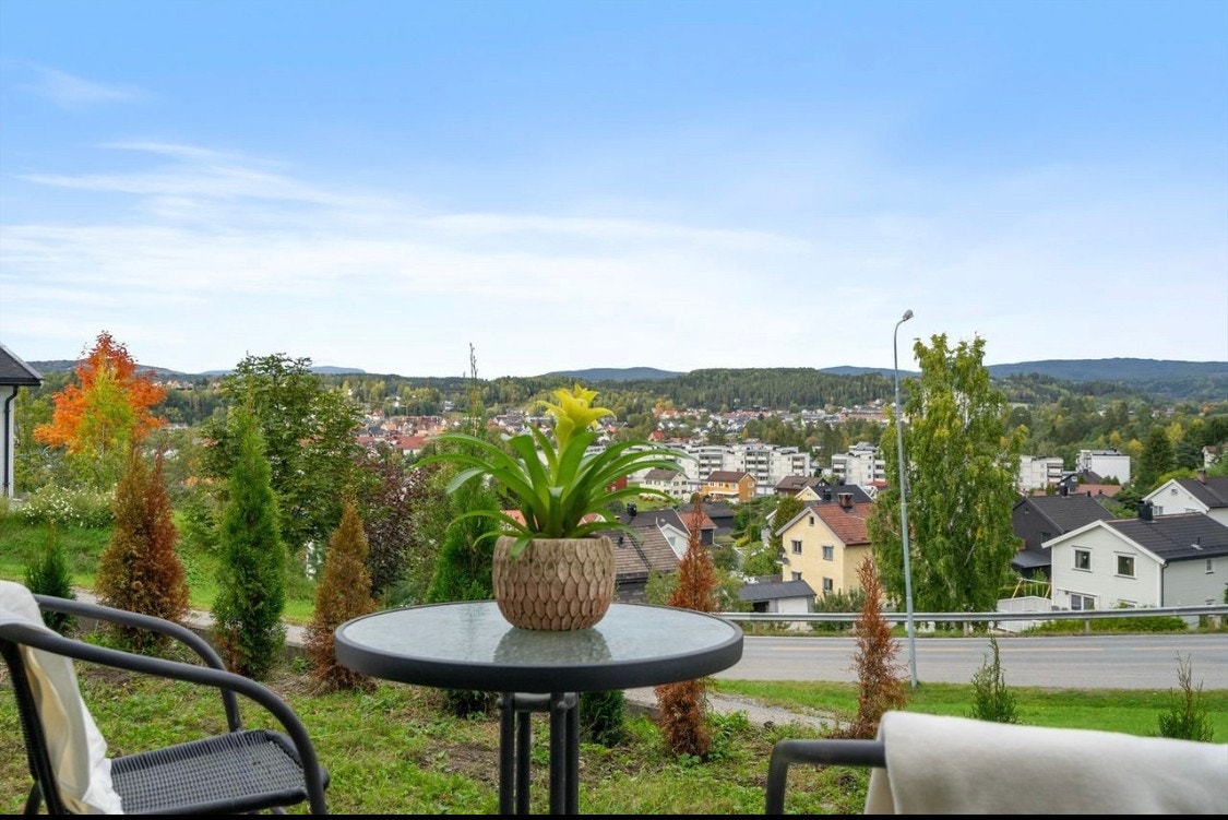 Utsikt utenfor inngangsdøra Galleribilde