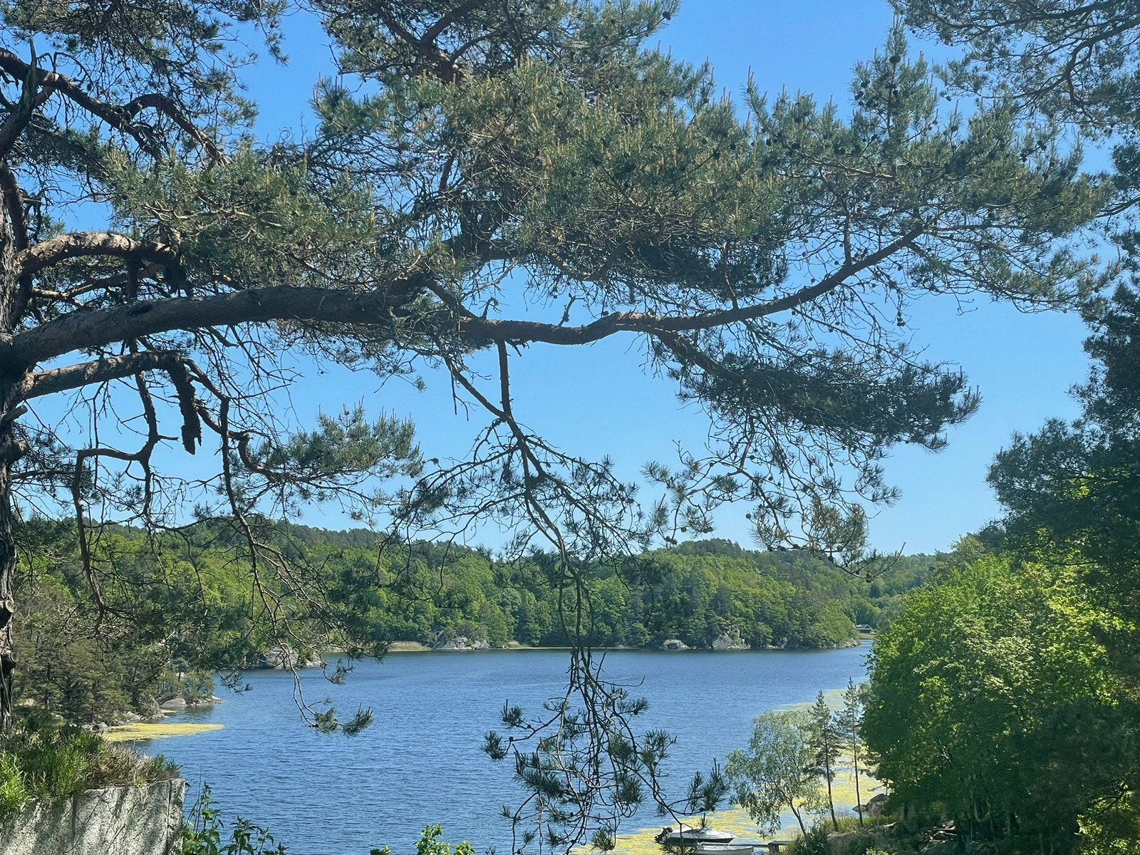 Utsikt fra terrasse Galleribilde