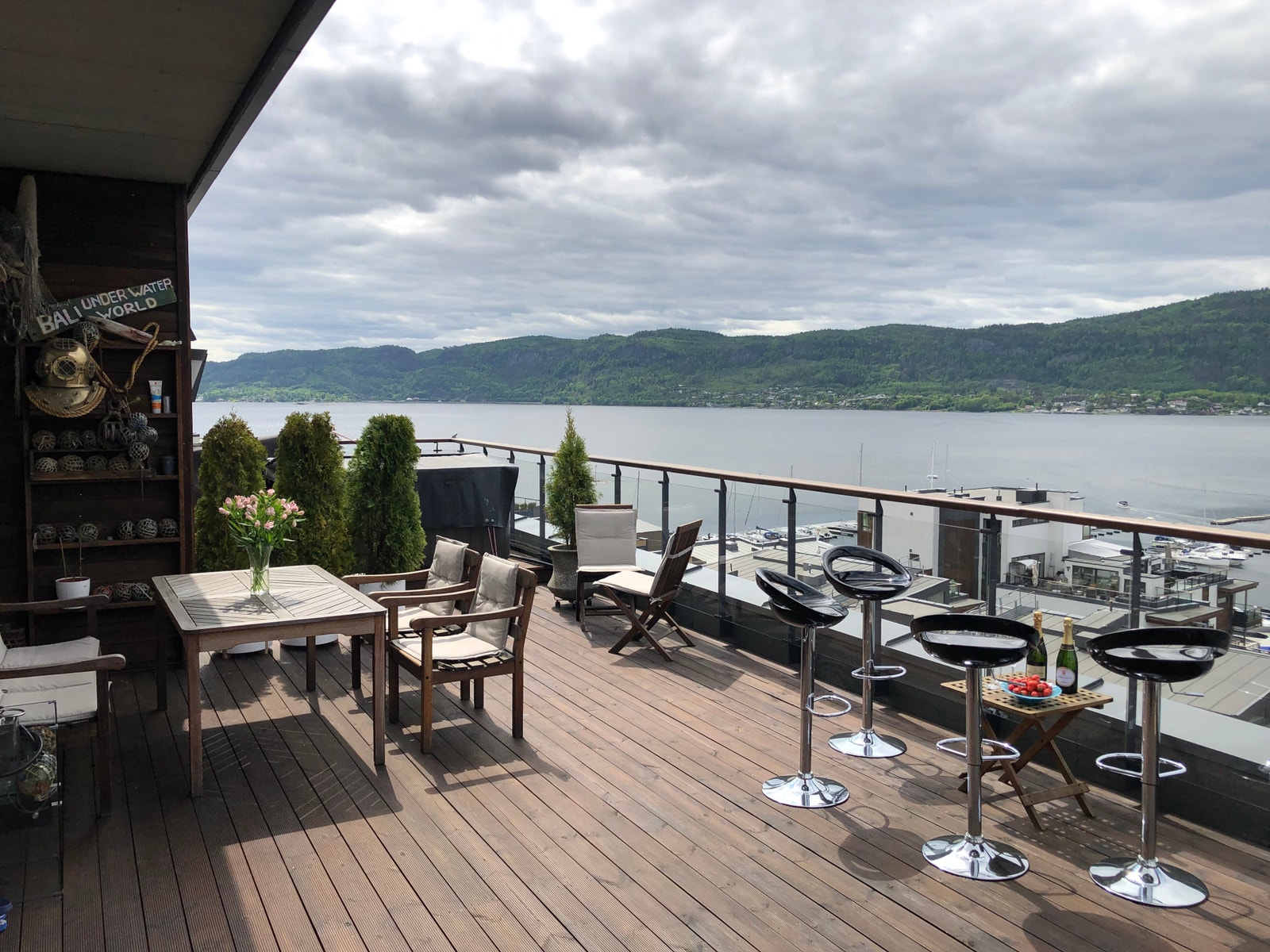 En sommerdag med gjester. Galleribilde