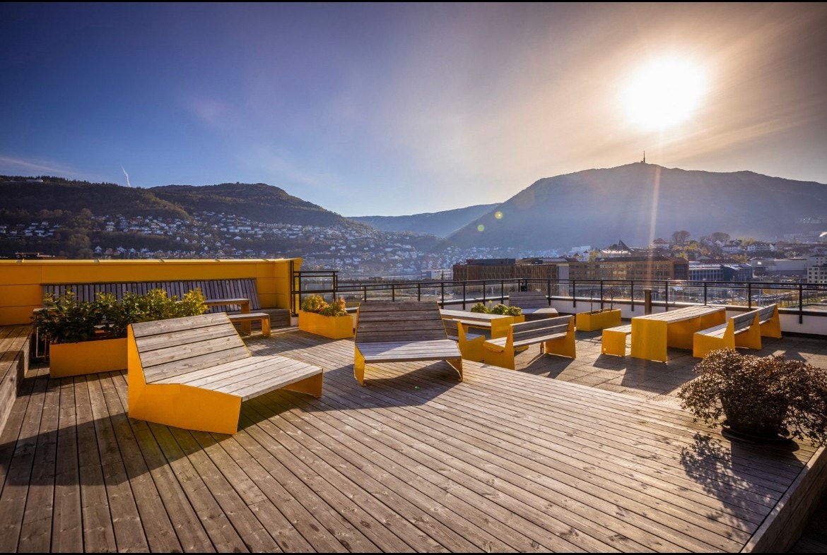 Flere solfylte felles takterrasser Galleribilde