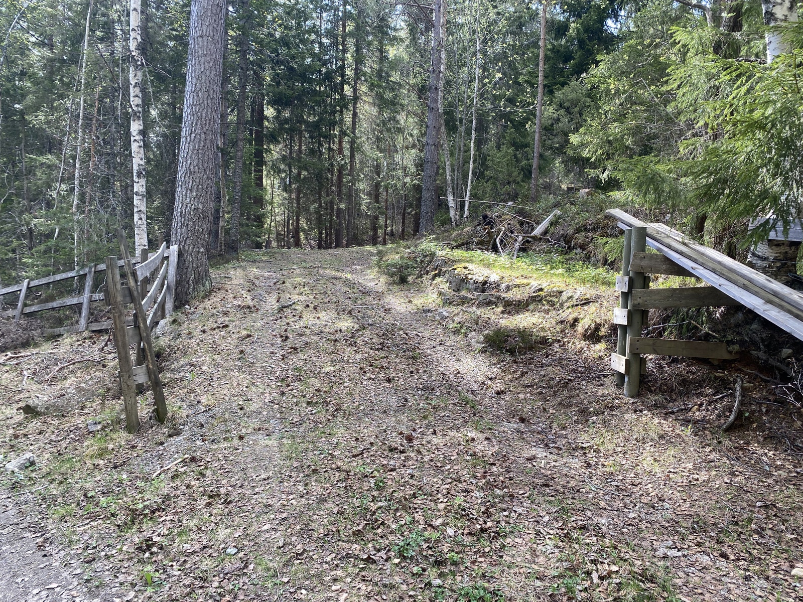 Innkjørselen Galleribilde