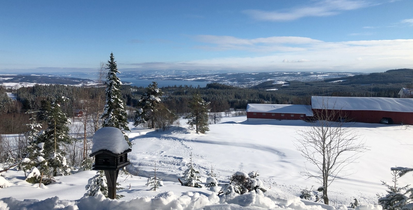 Utsikt til Mjøsa Galleribilde