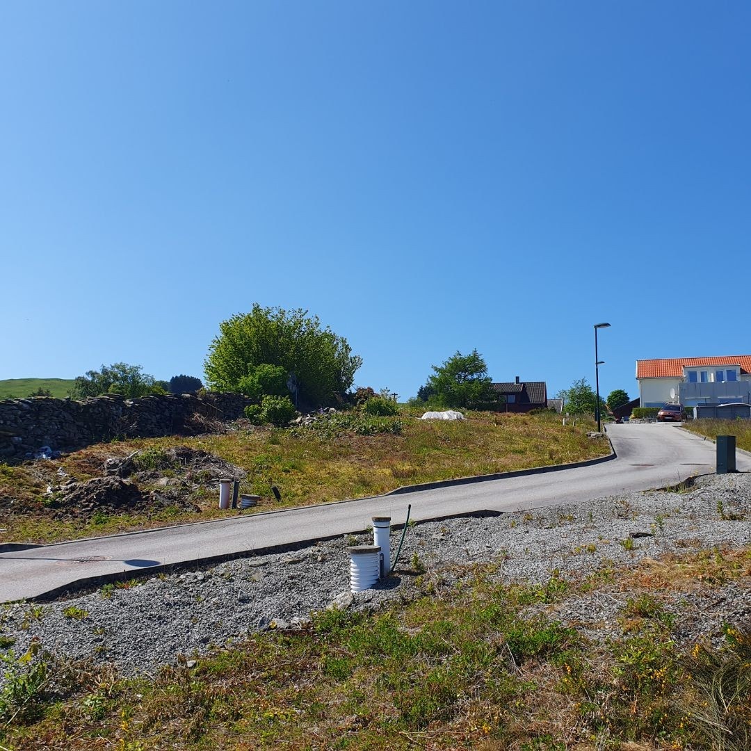 Lett skrånende terreng Galleribilde
