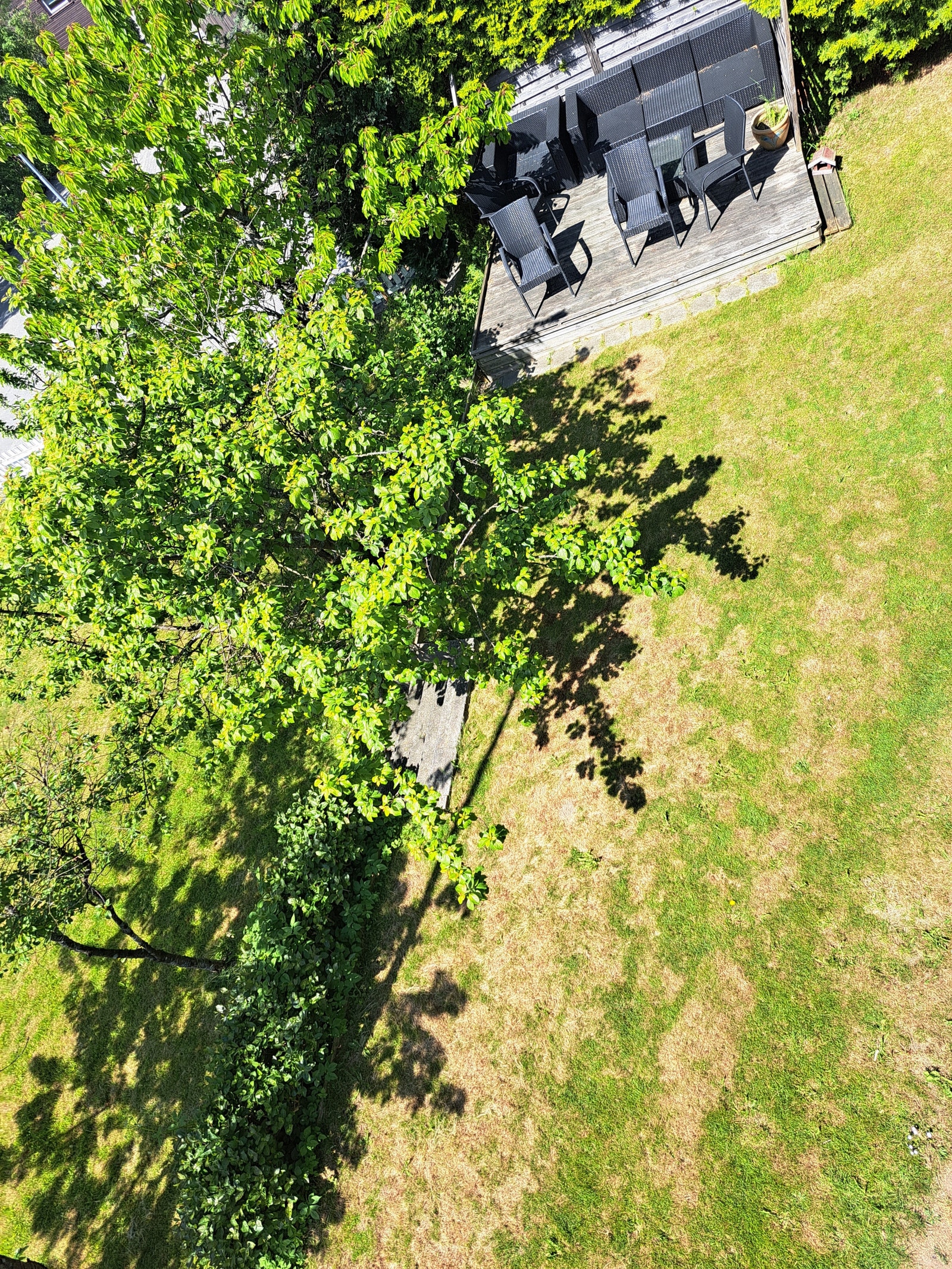 Disponible hage Galleribilde