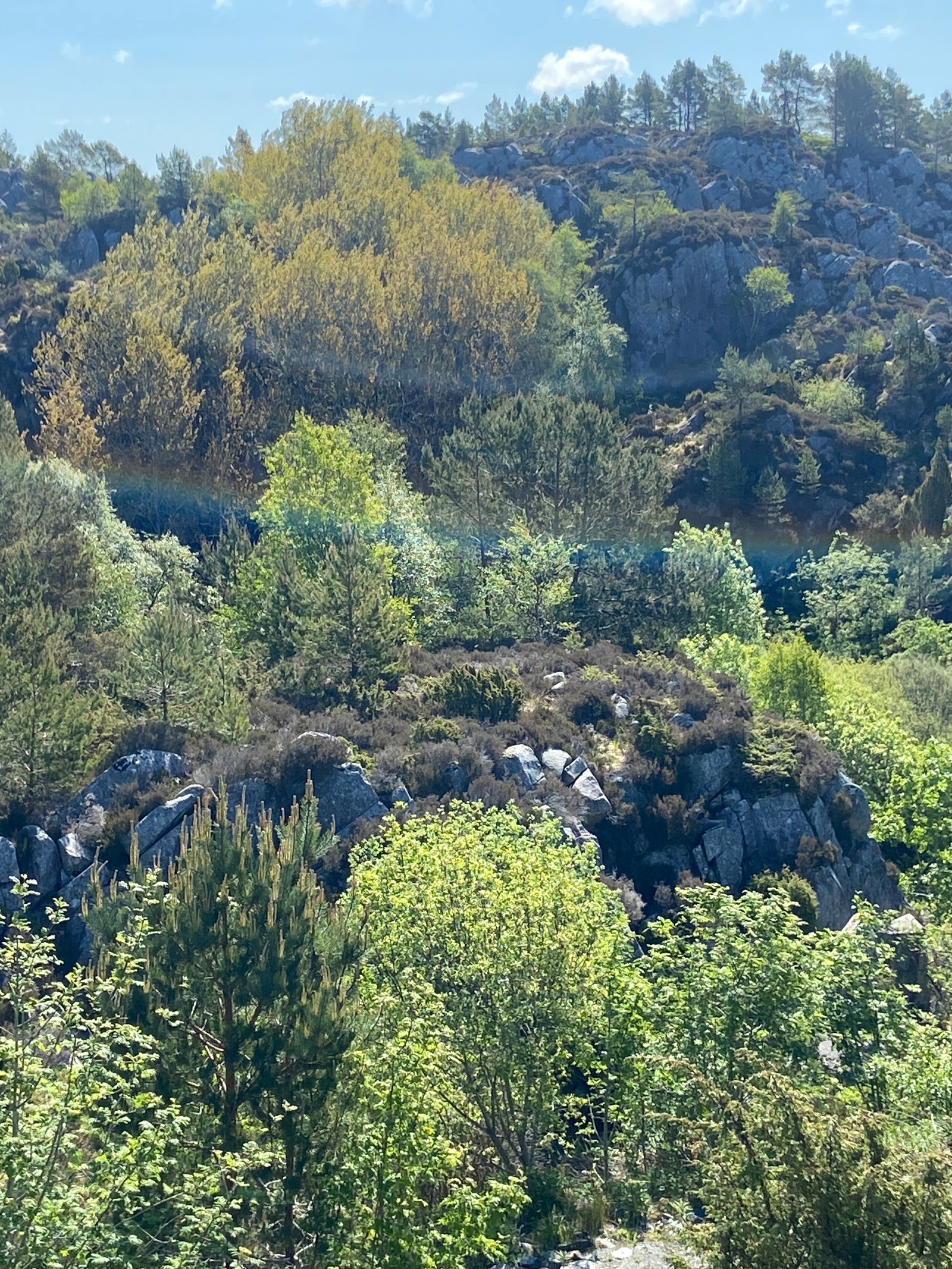 Tomta Galleribilde