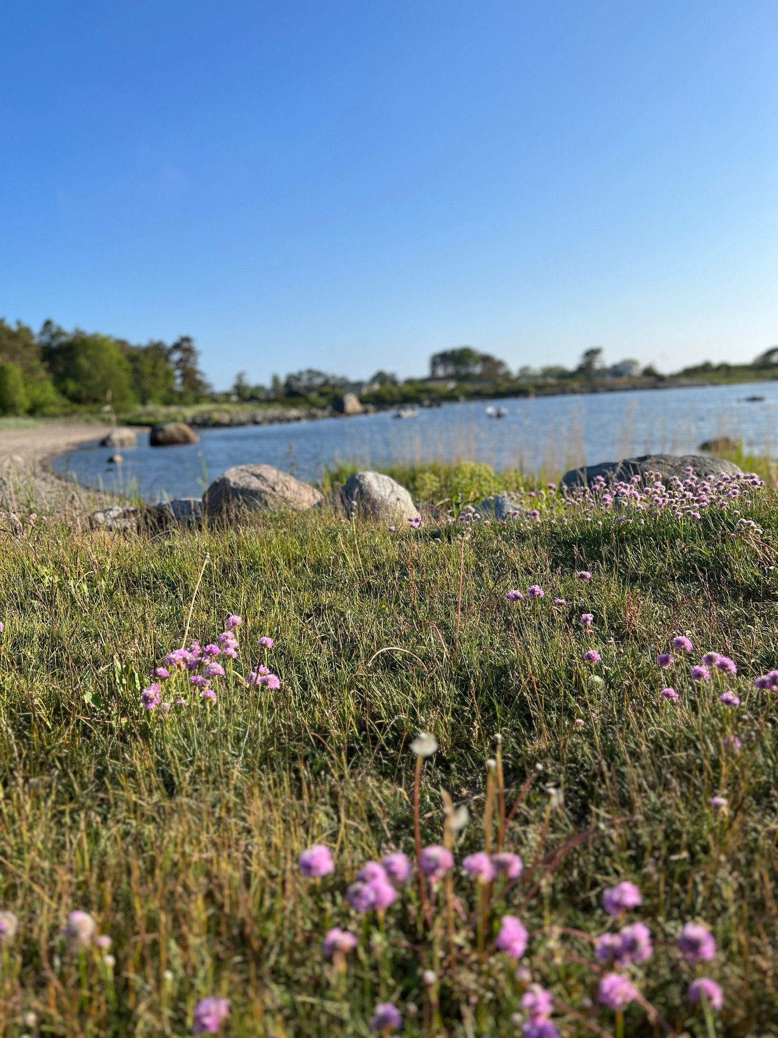 Kyststien Galleribilde