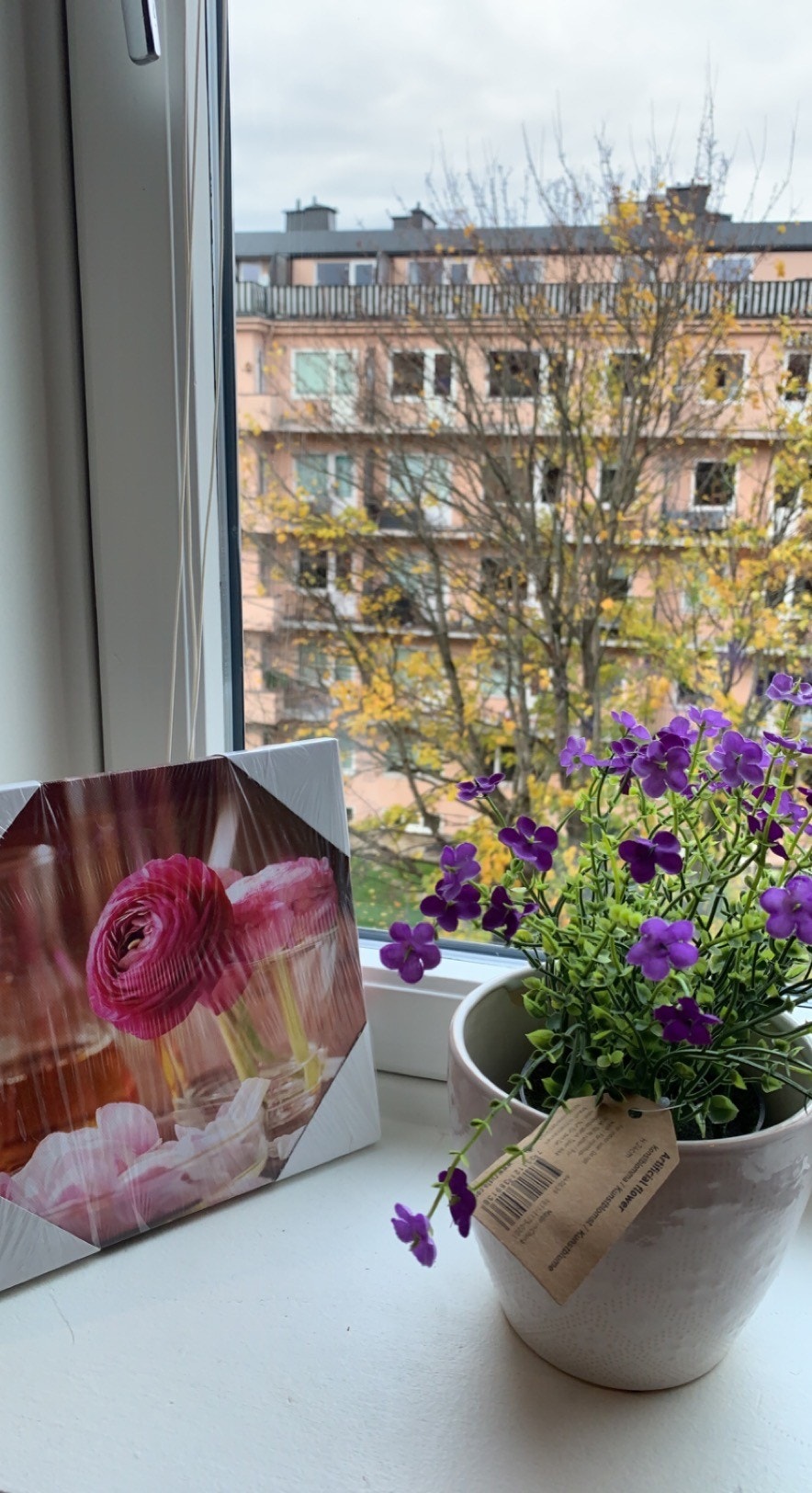 Kjøkken vindu Galleribilde