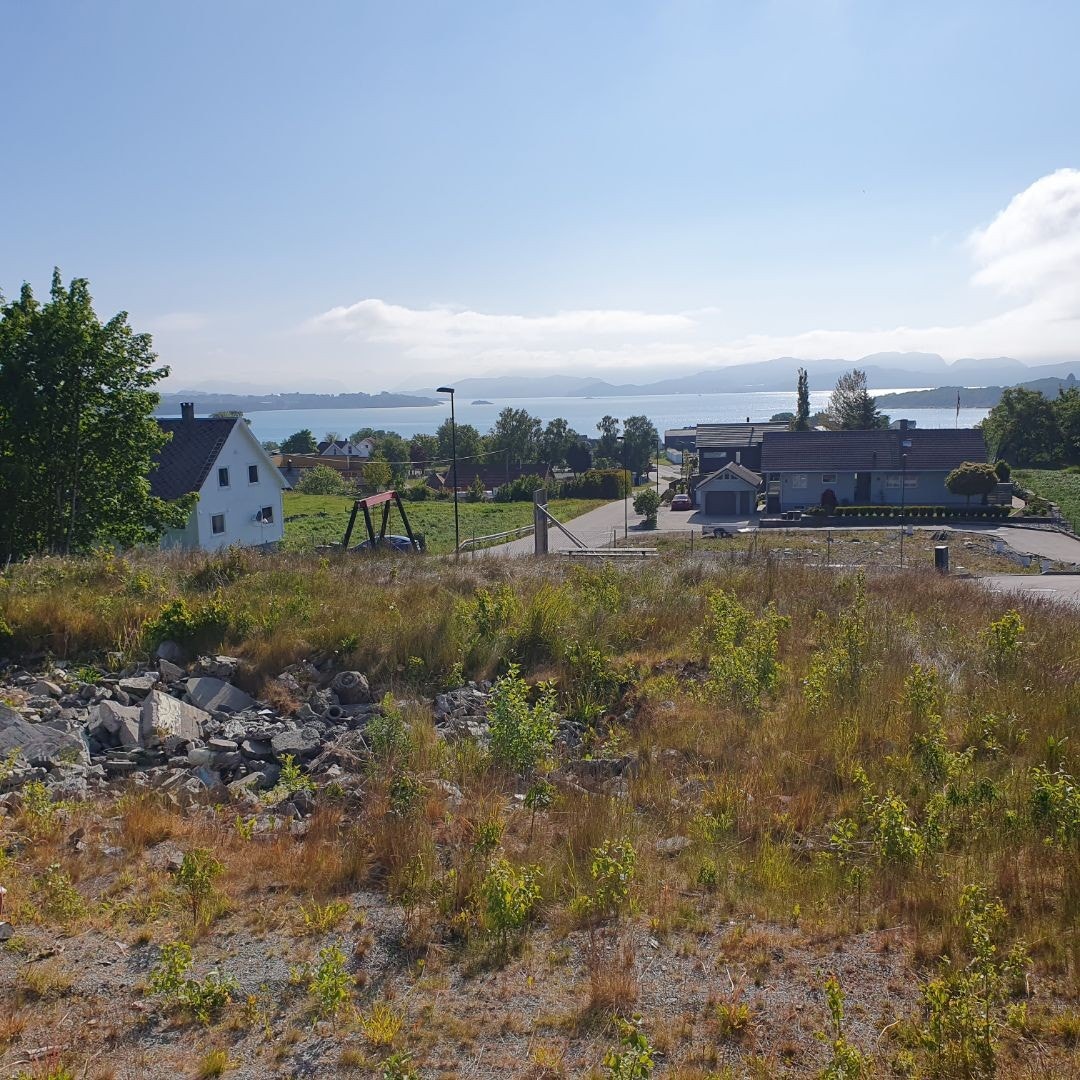 Utsikt mot fjorden Galleribilde