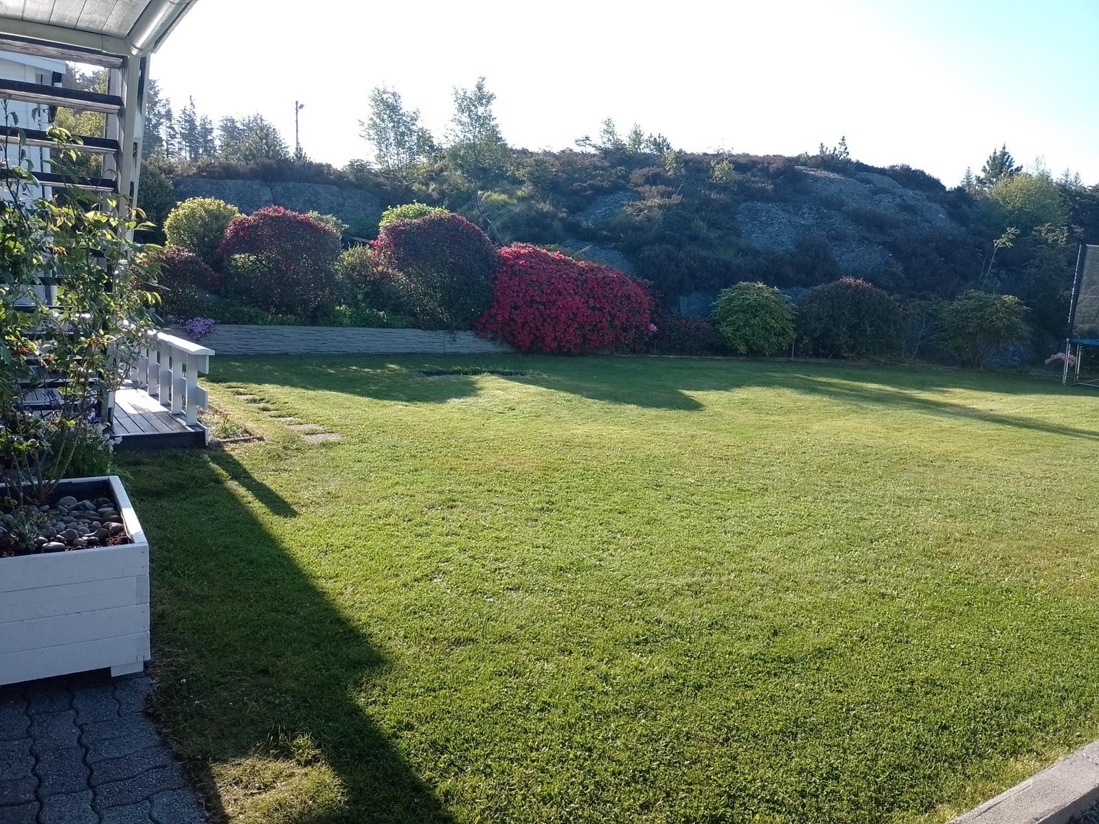 Utsikt til hagen Galleribilde