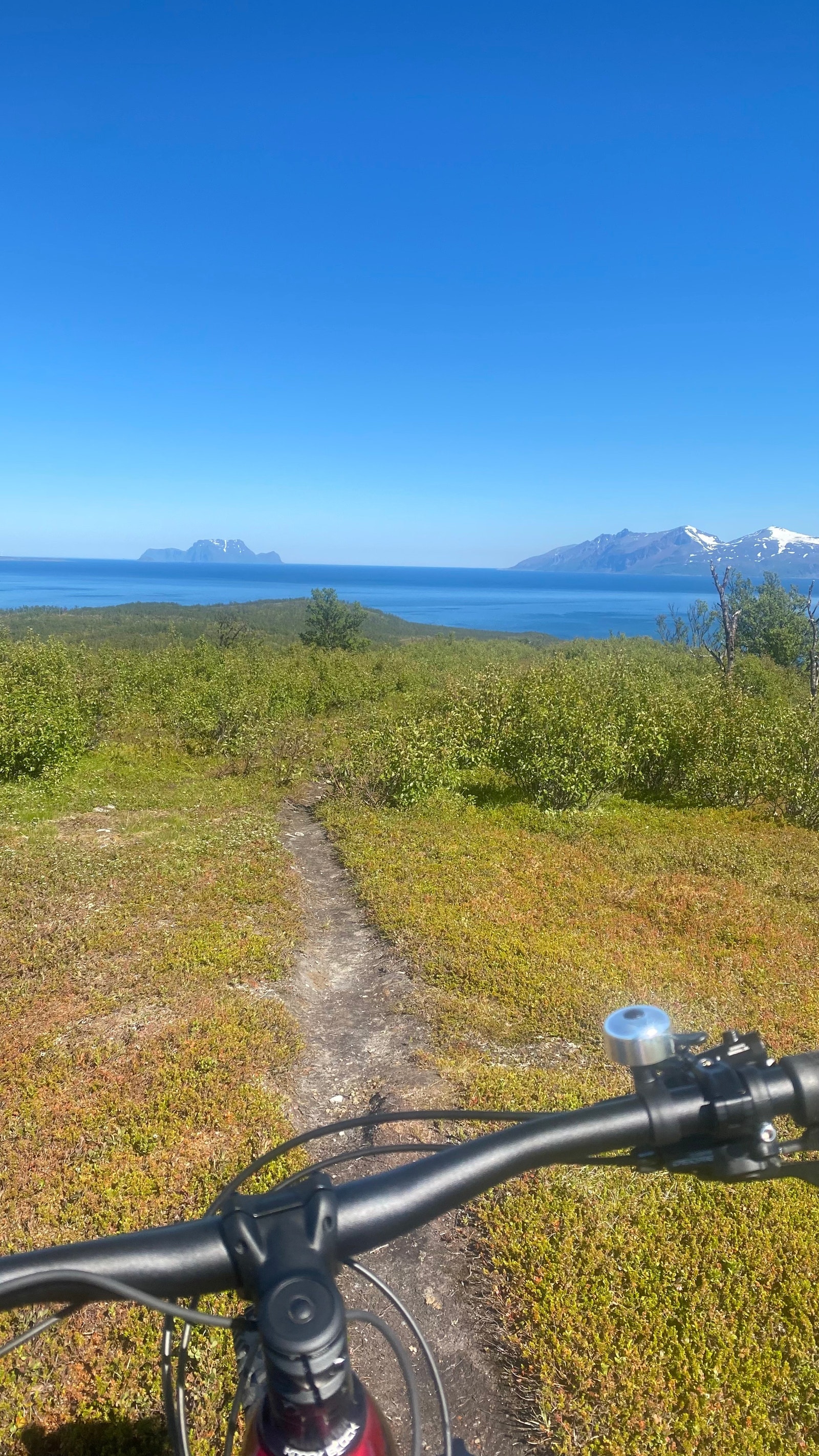 Biking from the plot Galleribilde