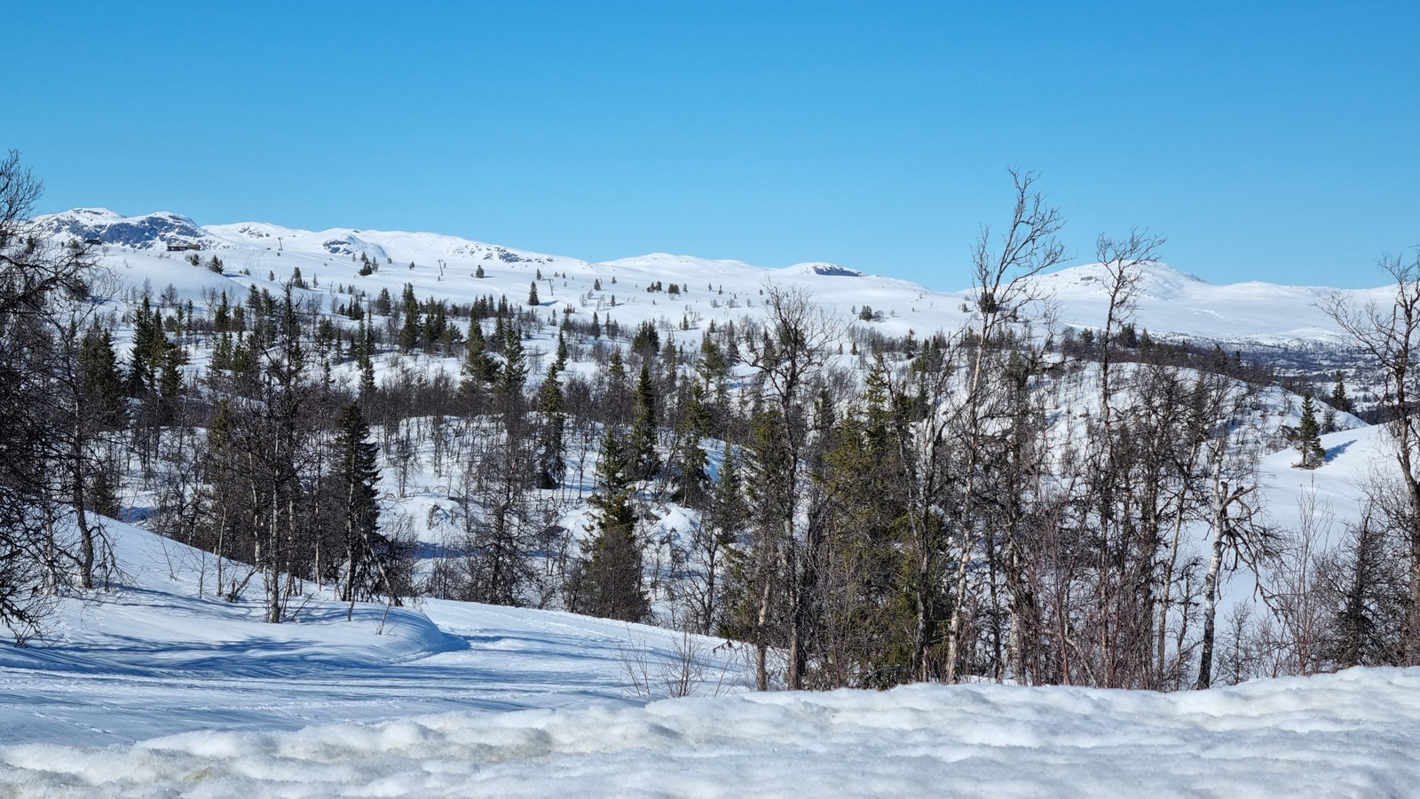 Utsikt ved Primhovda Galleribilde