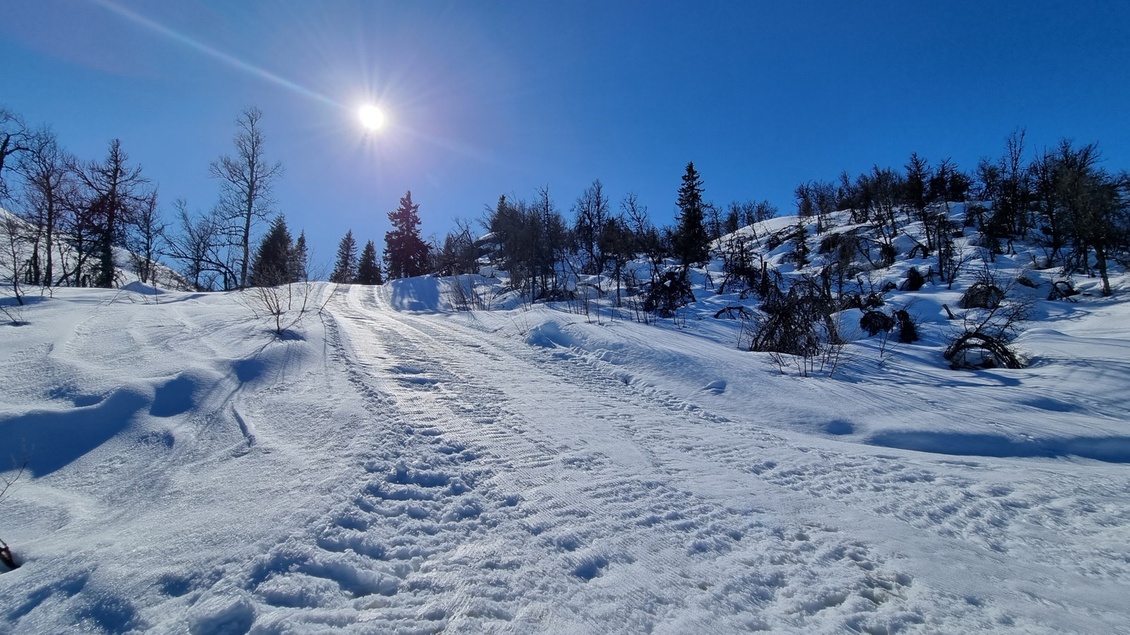 Skiløype ved Primhovda Galleribilde