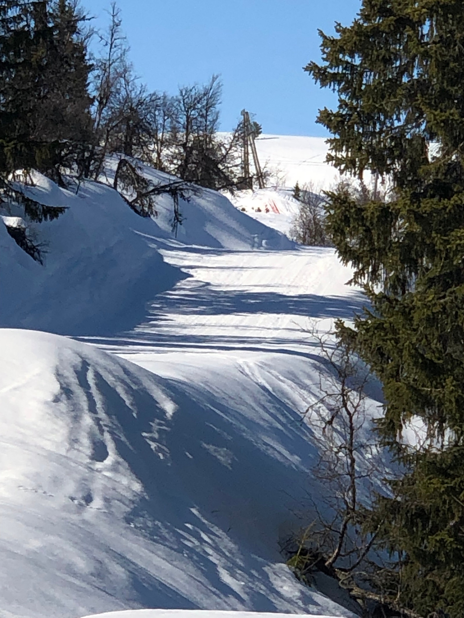 Tilkomst til Ål Skisenter fra Primhovda Galleribilde